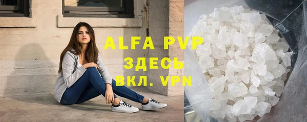 индика Абаза
