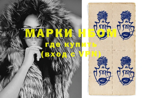 индика Абаза