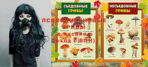 индика Абаза