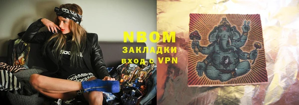 индика Абаза