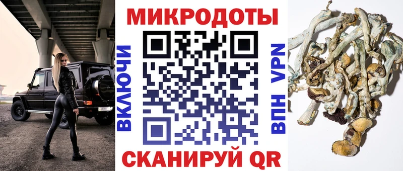 Галлюциногенные грибы Cubensis  Лебедянь 